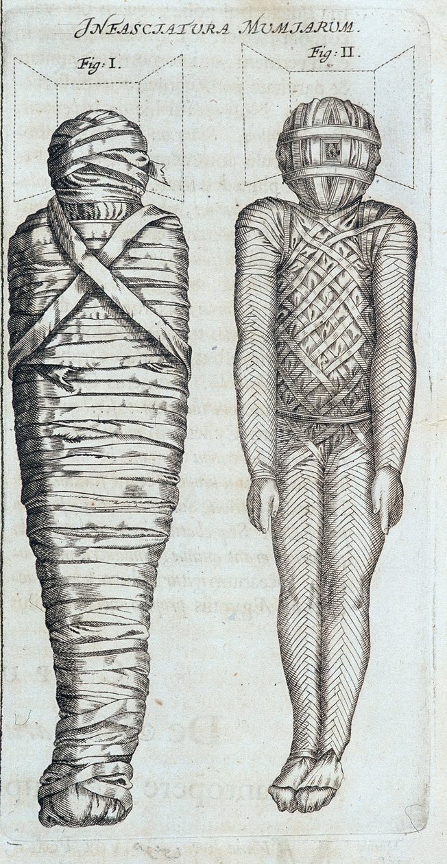 Mummies - in “” Sphynx mystagoga”” by Athanase Kircher 作者 阿塔纳修斯·基歇尔
