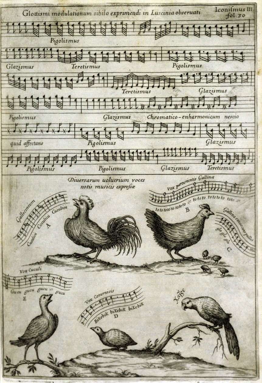 由音符表达的某些挥发物发出的歌曲：Athanasius Kircher的“Musurgia Universalis” 作者 阿塔纳修斯·基歇尔