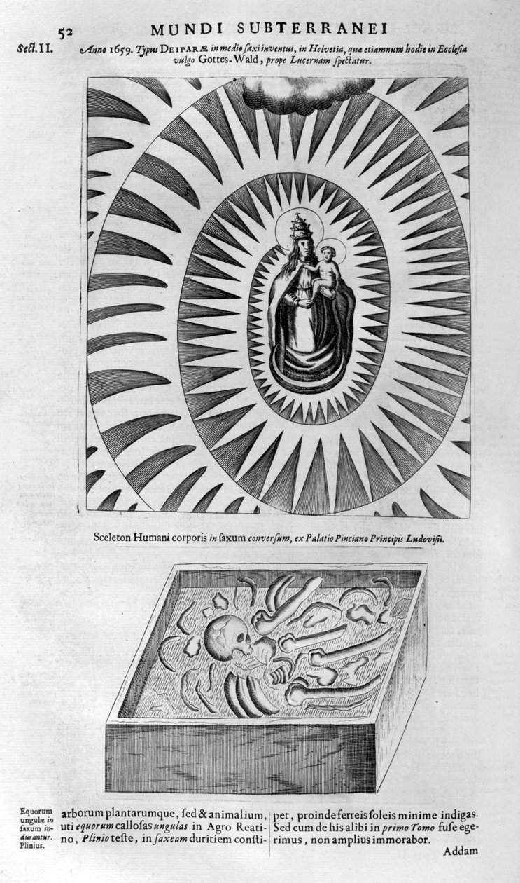 处女，儿童和人体骨骼，1678年 作者 阿塔纳修斯·基歇尔