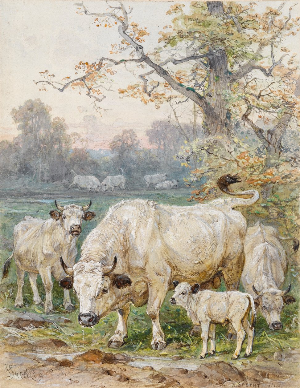 Park Cattle（纸上的wc） 作者 八月啄木鸟