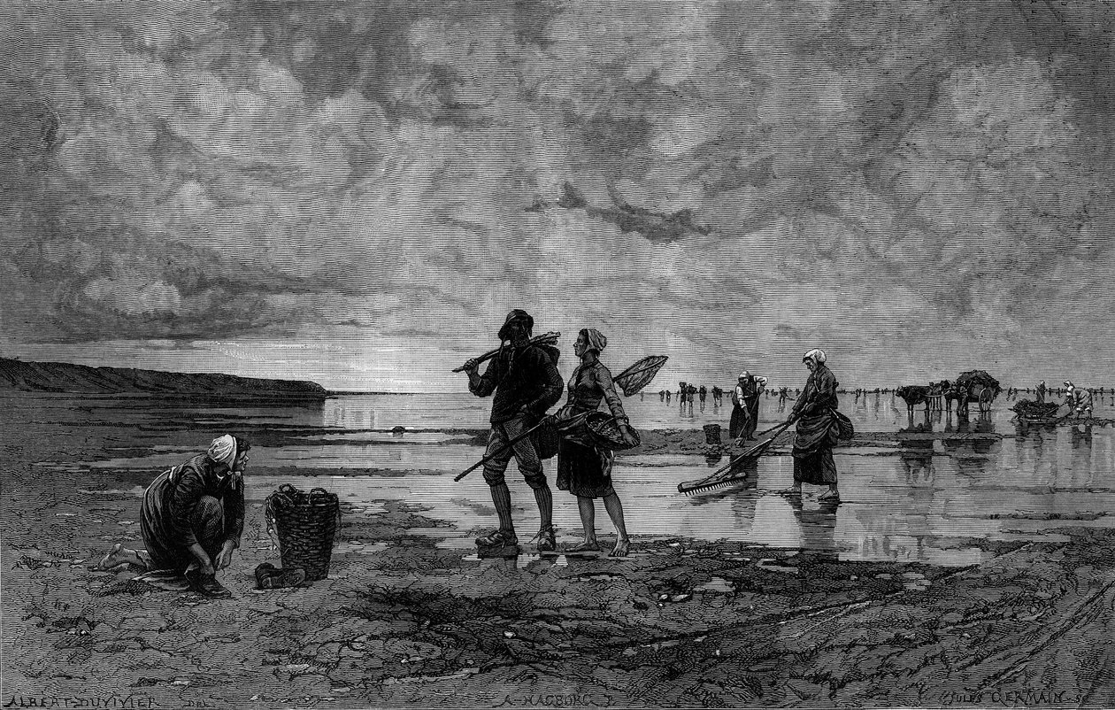英吉利海峡的大马里（19世纪）：海滩上的贝壳渔民。根据Hagborg Auguste Wilhem Nikolaus (1852-1921/1925)在8月7日 "The Illustrous World "n°1219的画作进行的雕刻。 作者 奥古斯特·威廉·尼古拉斯·哈格堡