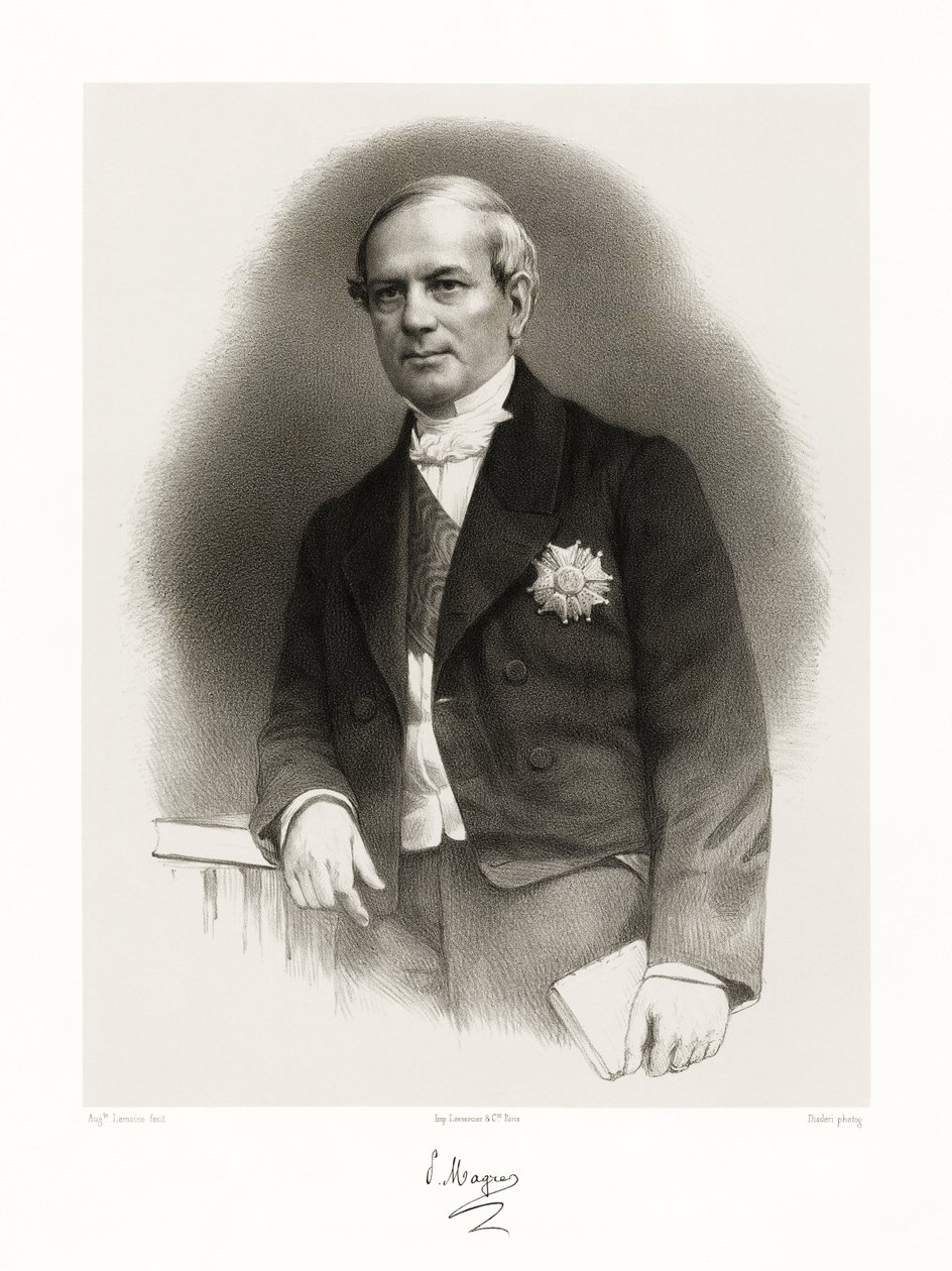 Pierre Magne，1865-66 作者 奥古斯特·查尔斯·勒穆恩