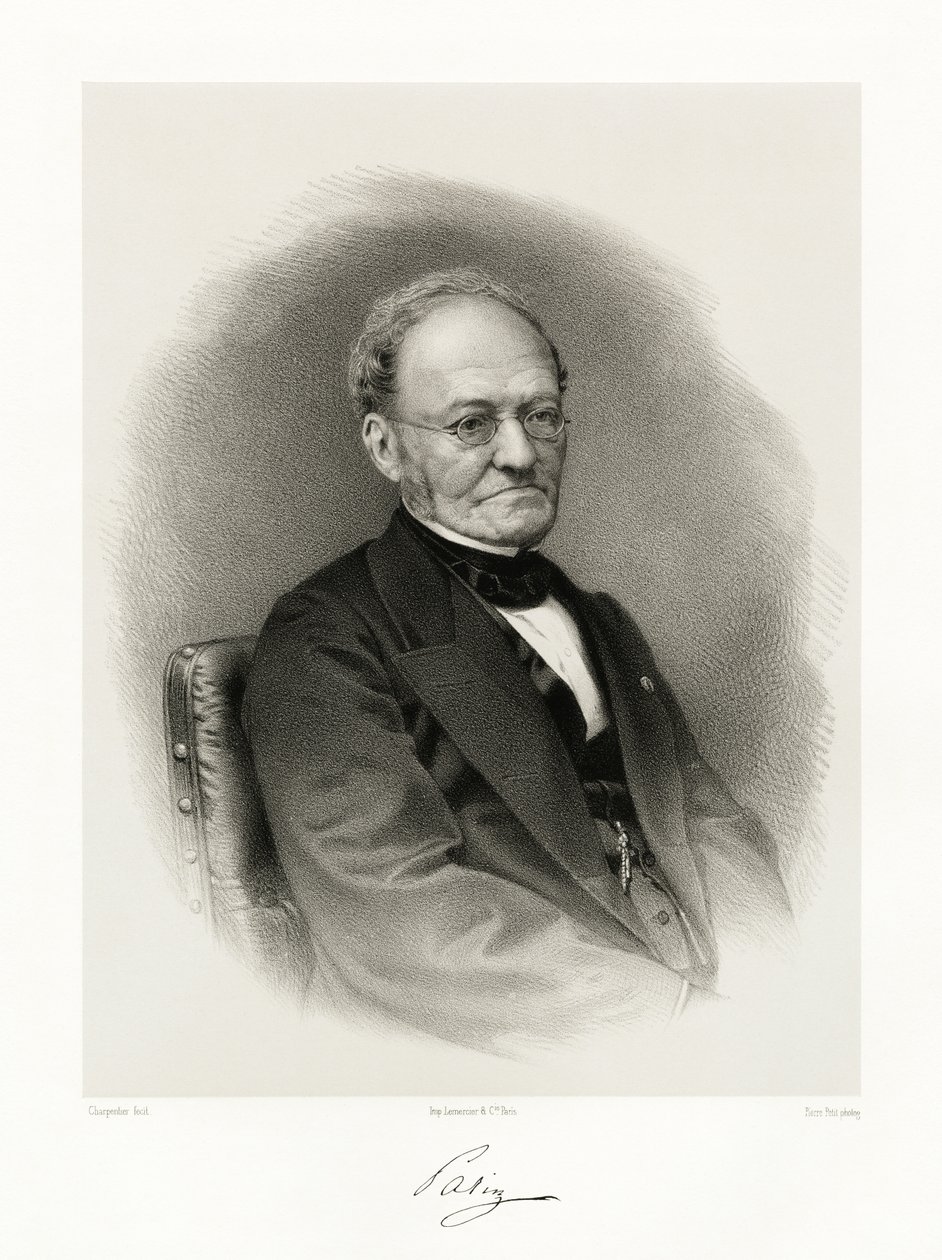 Henri Jospeh Guillaume Patin，1865-66 作者 奥古斯特·夏庞蒂埃