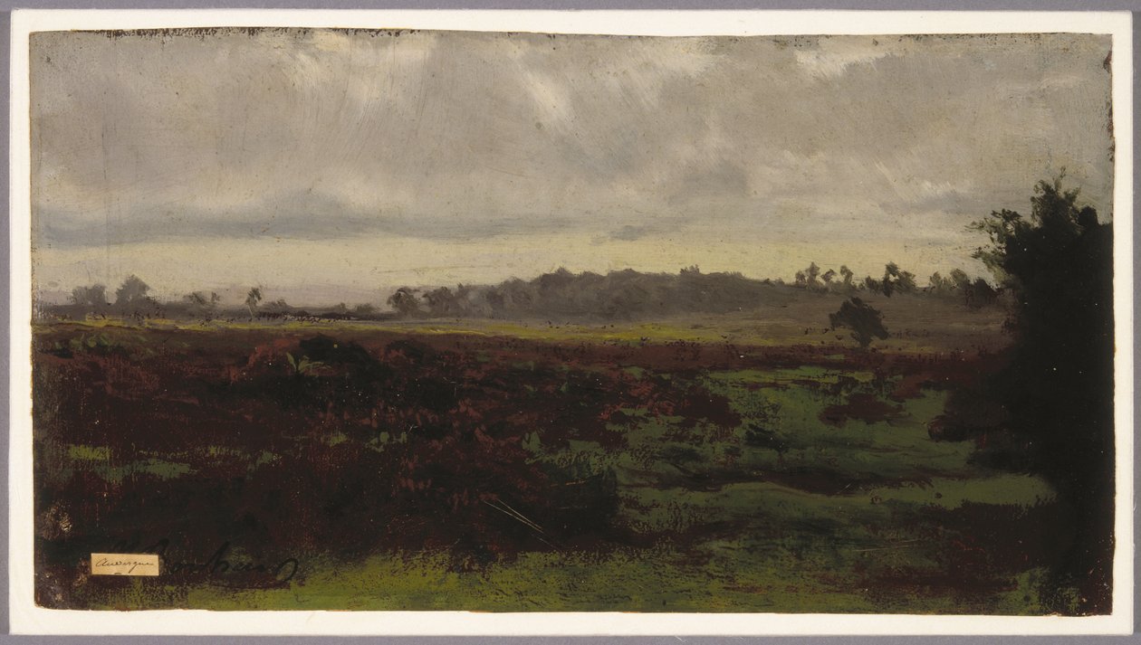 Marshlands，1850年代中期（纸上油） 作者 奥古斯特·弗朗索瓦·邦海尔