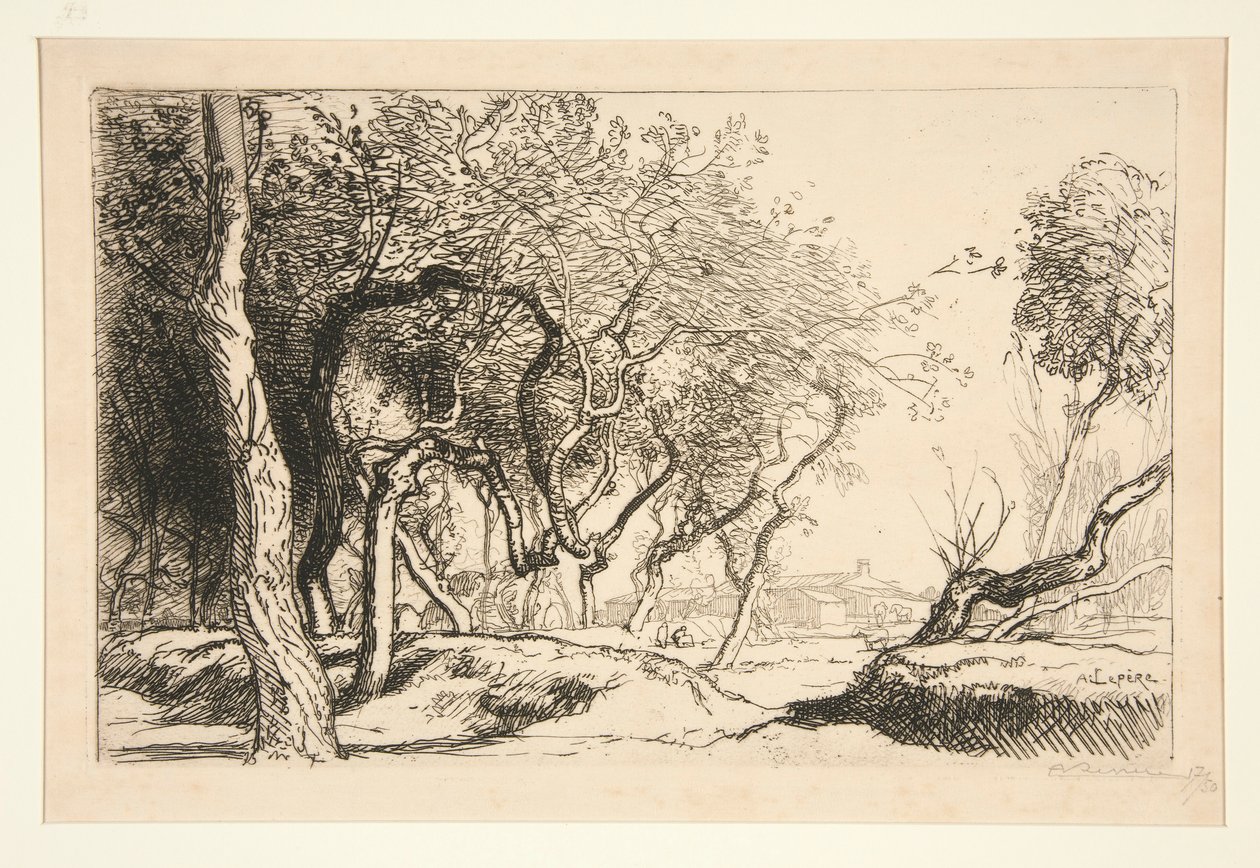 Les arbres tordus (Saint-Jean-de-Monts) (Twisted Trees [Saint-Jean-de-Monts]) (扭曲的树木[圣让德蒙]) 作者 奥古斯特·勒佩雷（Auguste Lepere）