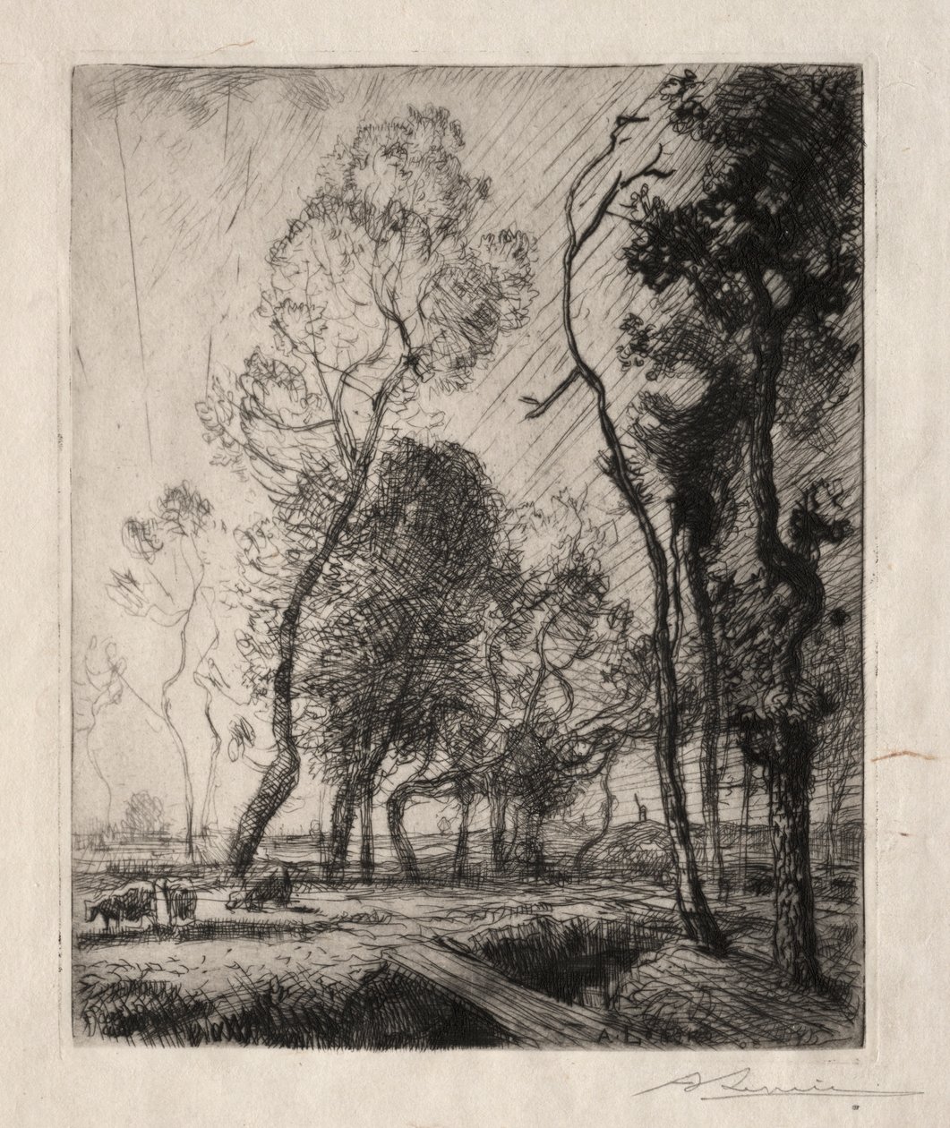 树后的夕阳，1909年。 作者 奥古斯特·路易斯·勒佩尔