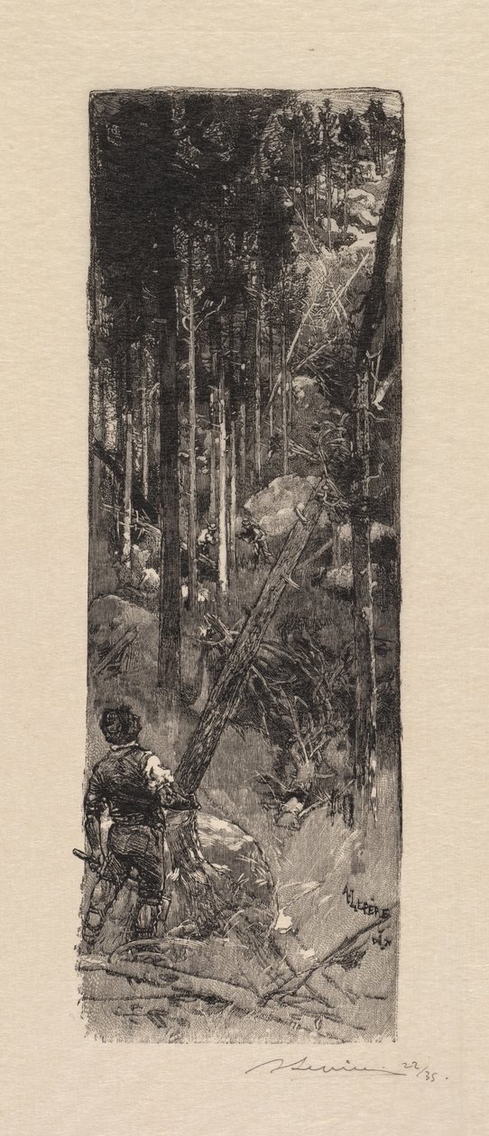 枫丹白露森林：砍伐松树枫丹白露森林：消灭松树，1890年。 作者 奥古斯特·路易斯·勒佩尔