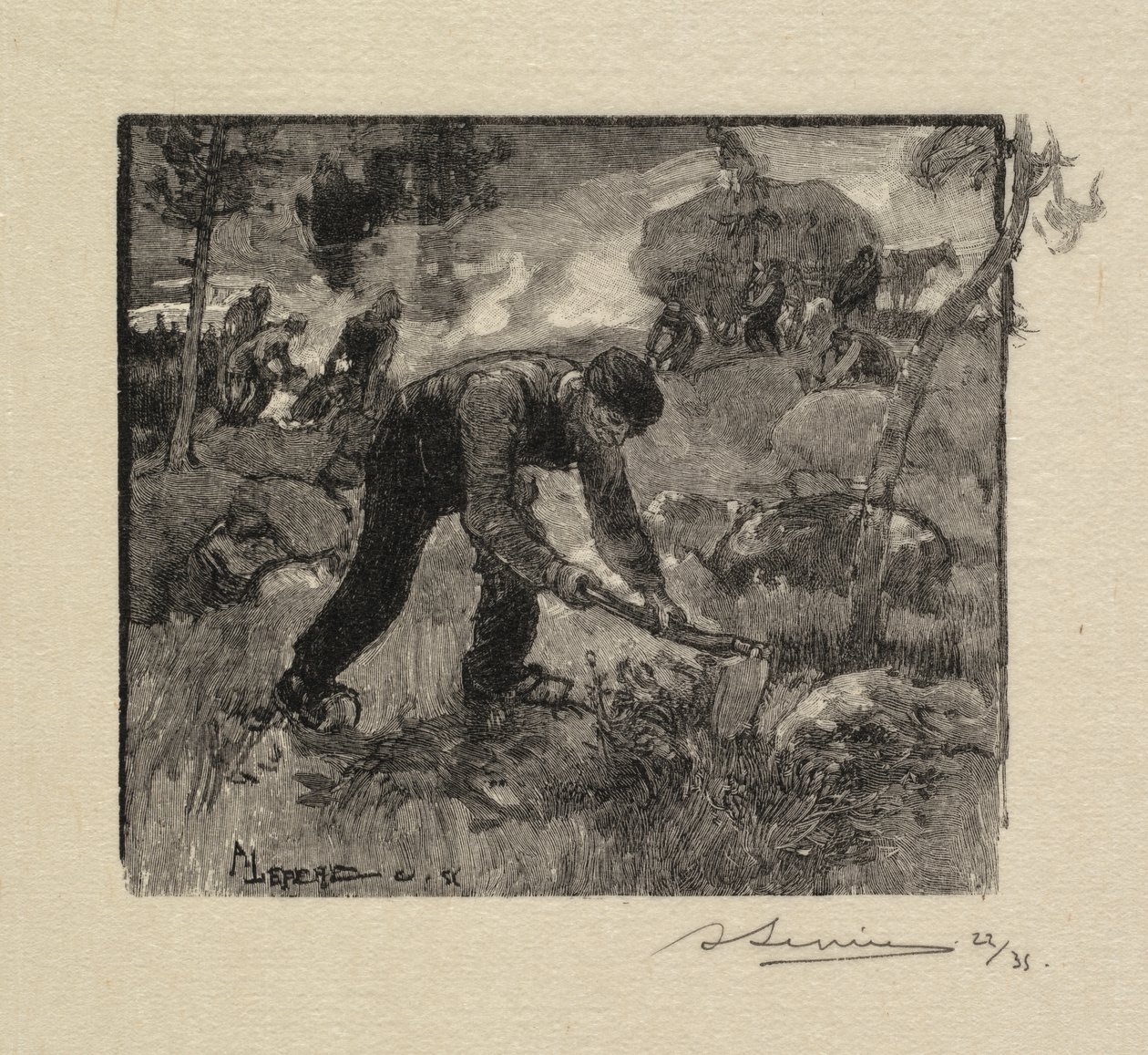 枫丹白露森林：拉希瑟枫丹白露堡：Arracheurs deBruyères，1890年。 作者 奥古斯特·路易斯·勒佩尔