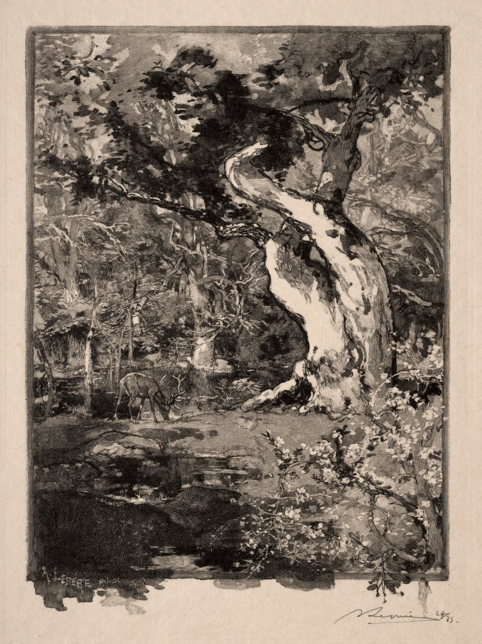 克洛维斯（Clovis），美女山庄（Bellecroix），1890年。 作者 奥古斯特·路易斯·勒佩尔