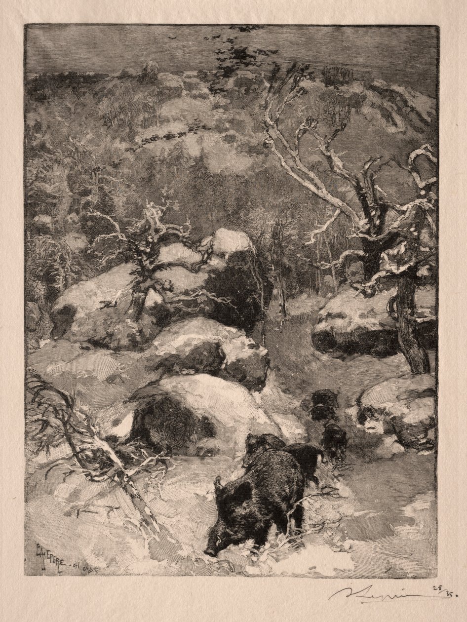 罗氏（Roche）Cuvier Chatillon，1887年。 作者 奥古斯特·路易斯·勒佩尔