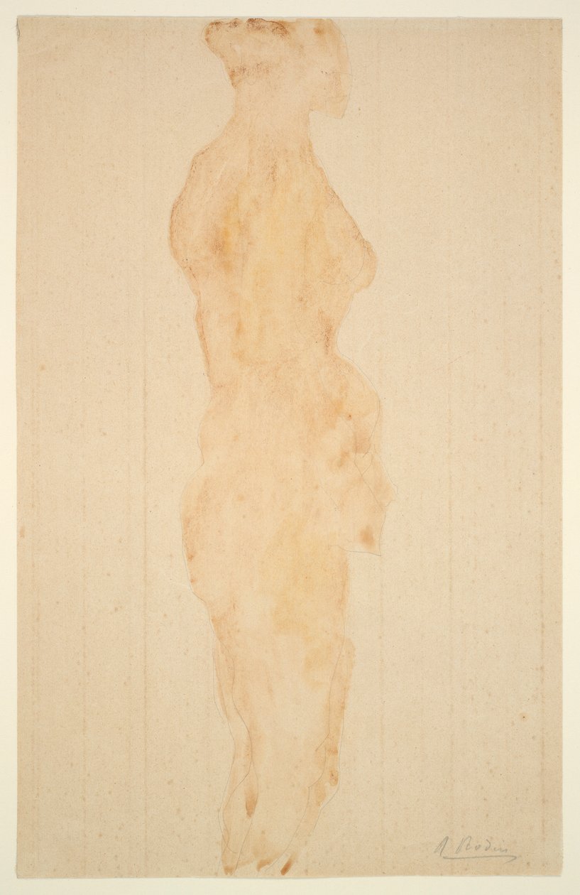 裸体站立，侧视图 作者 奥古斯特·罗丹（Auguste Rodin）