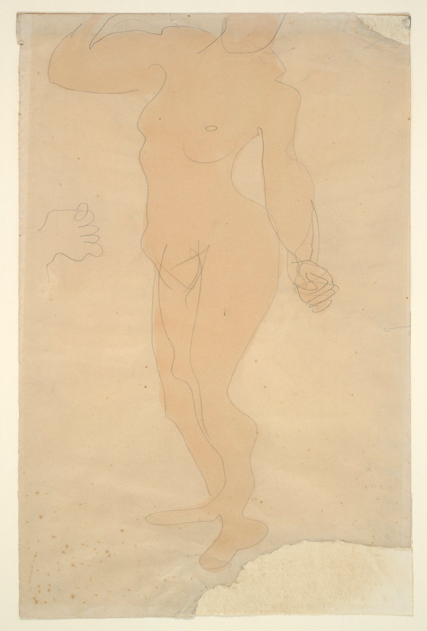 裸体站立（头部部分被纸边割去） 作者 奥古斯特·罗丹（Auguste Rodin）