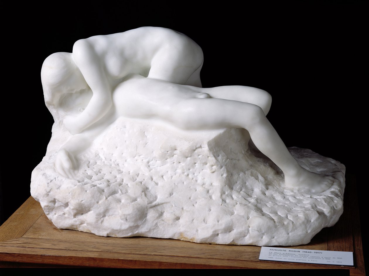 阿多尼斯之死，1888年后（大理石） 作者 奥古斯特·罗丹（Auguste Rodin）