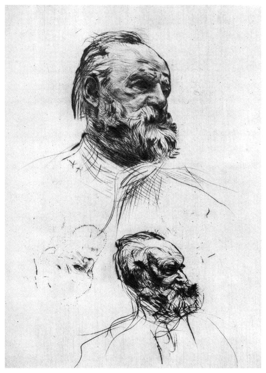 维克多·雨果（Victor Hugo），c1860-1910 1924年 作者 奥古斯特·罗丹（Auguste Rodin）