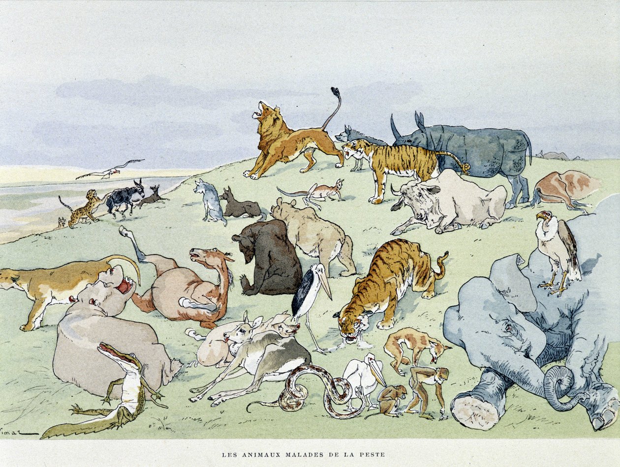 患鼠疫的动物 - 在“Les Fables de la Fontaine”中，生病了。 作者 Auguste Vimar (1851-1916), Tours, at A, Mame & Fils 作者 奥古斯特·维玛（Auguste Vimar）