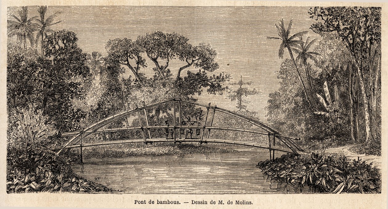 A bamboo bridge, in the jungle, near Salak Mountain. Drawing by M. de Molins, to illustrate his journey to Java 作者 奥古斯特·德·莫林斯