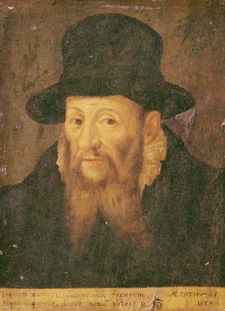 Jacques Cujas（1522-90），65岁 作者 奥古斯丁二世康奈尔