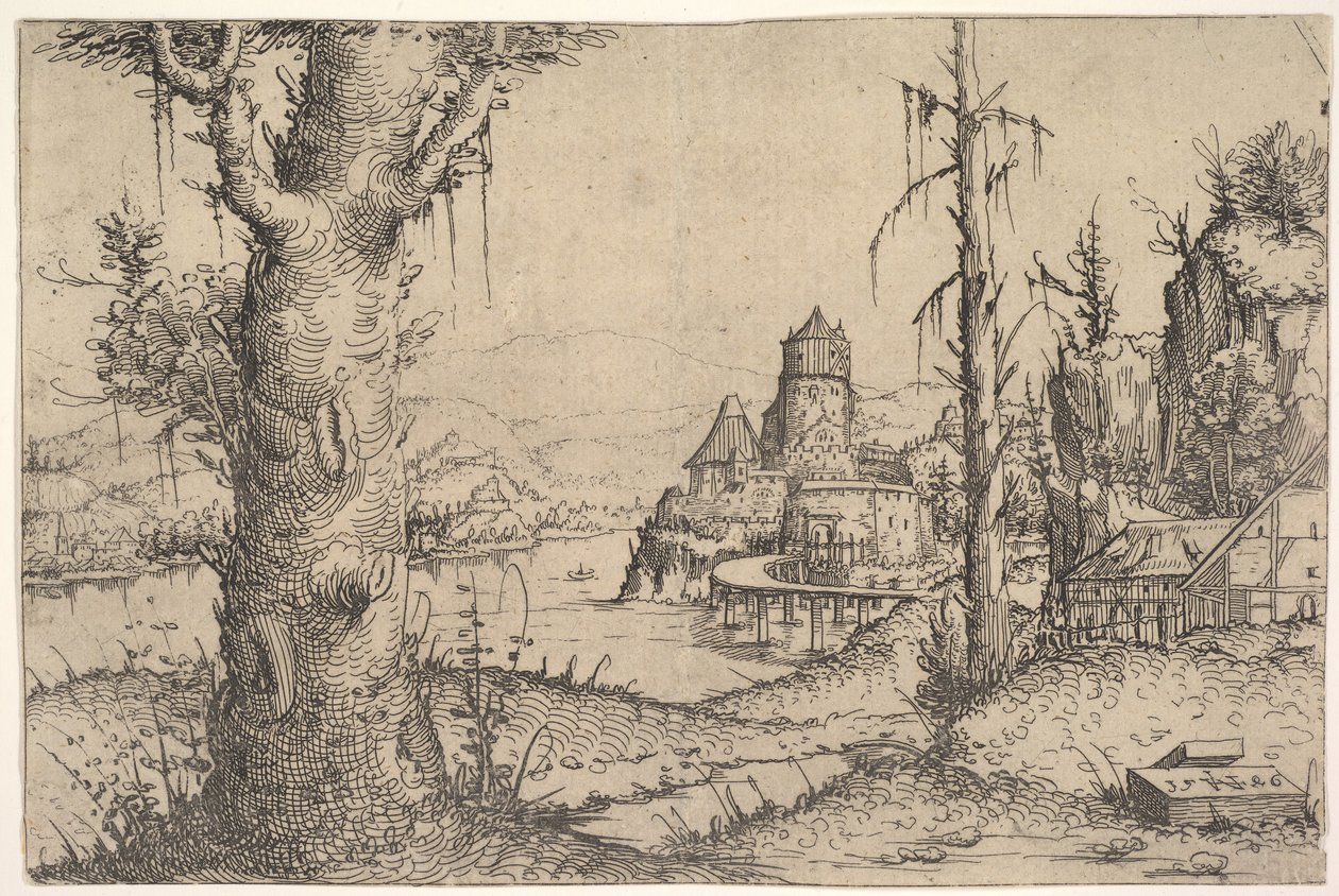 1546年，左侧有大树的河流景观。 作者 奥古斯丁·赫希沃格尔