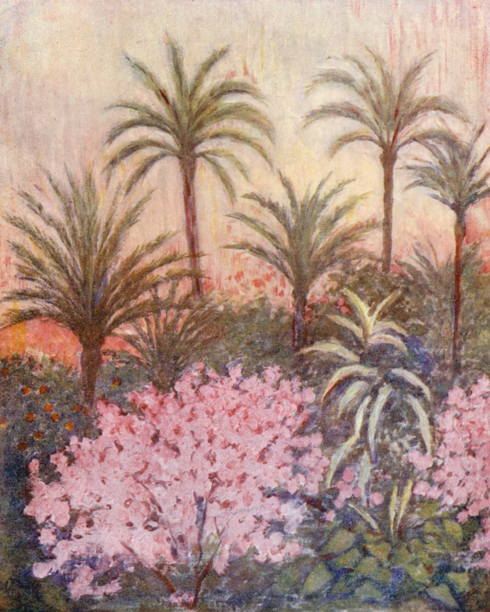 穆尔西亚的棕榈树林（彩色石版画） 作者 奥古斯丁·菲茨杰拉德