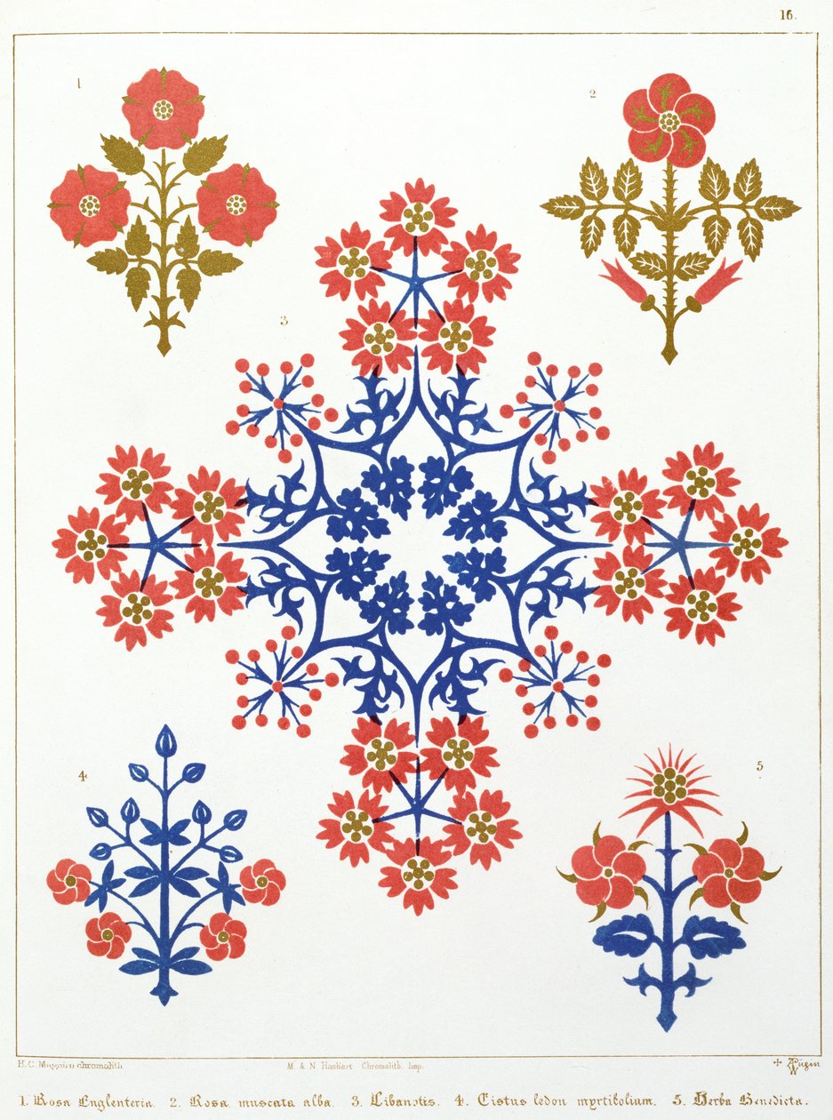 Violiet，iris和郁金香图案壁纸设计，由M. und N. Hanhart印制 作者 奥古斯都·韦尔比·诺斯莫尔·普金