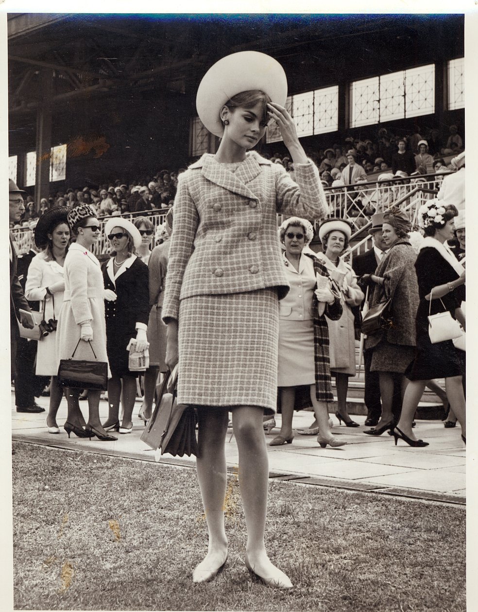 Jean Shrimpton（1942年生），1965年墨尔本杯 作者 澳大利亚摄影师
