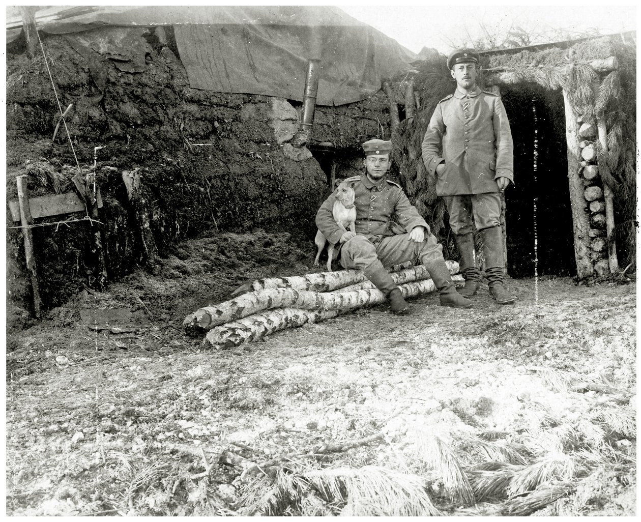 奥地利士兵与一只狗，1914-18 作者 奥地利摄影师