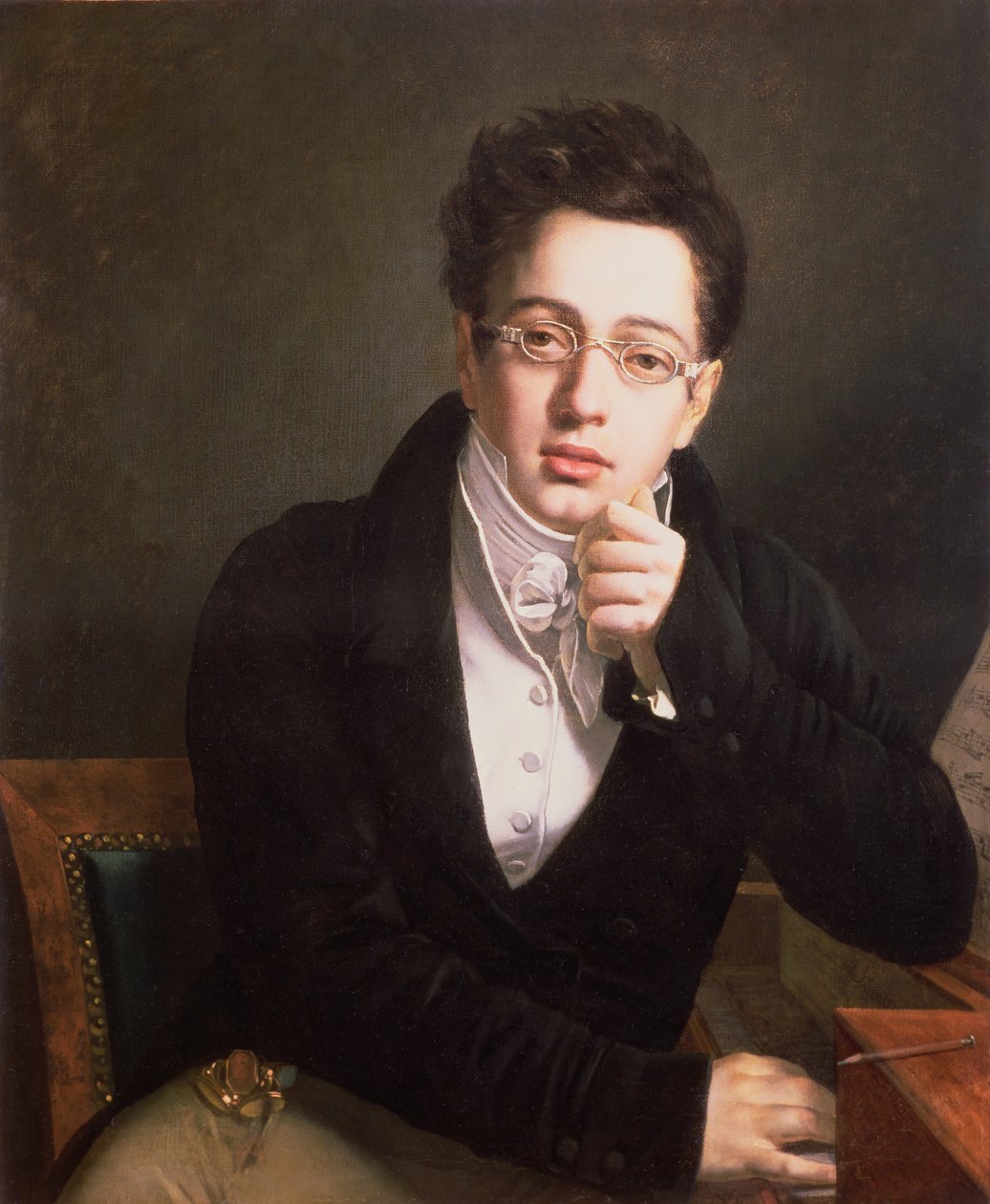 Franz Schubert（1797-1828）的肖像，奥地利作曲家，17岁，1814年 作者 奥地利学派