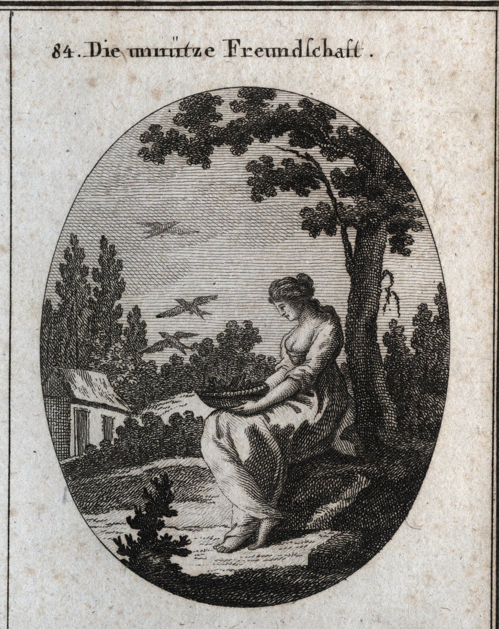 Allegory of useless friendships holding a nest allowing swallows to fly away. Engraving in “” Iconologie oder Ideen aus dem Gebiete der Leidenschaften und Allegorien bildich dargestellt fur Zeichner, Mahler, Dichter, Gelehrte, Erzieher und freunde Hoherer  作者 奥地利学派