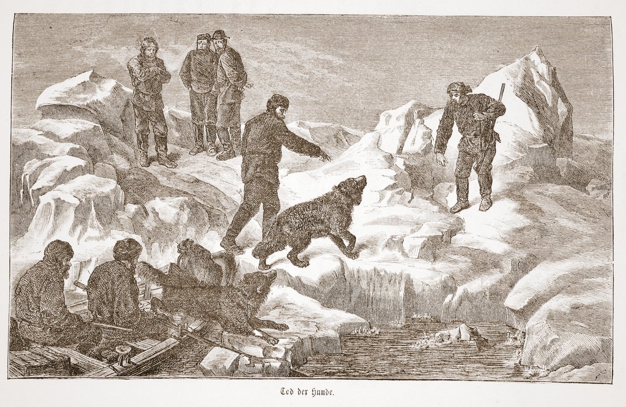 与狗一起狩猎，1876年 作者 奥地利学派
