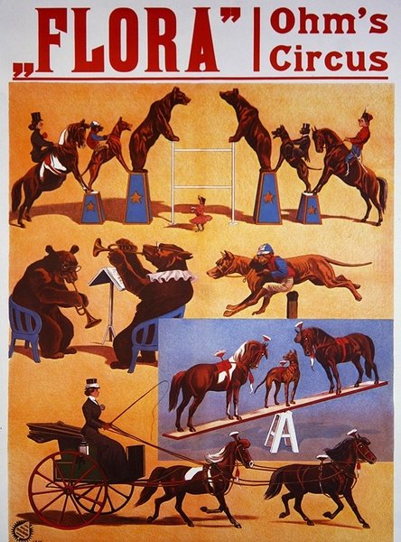 汉堡弗洛拉剧院的 "欧姆马戏团 "广告海报，约1914年（彩色平印）。 作者 奥地利学派