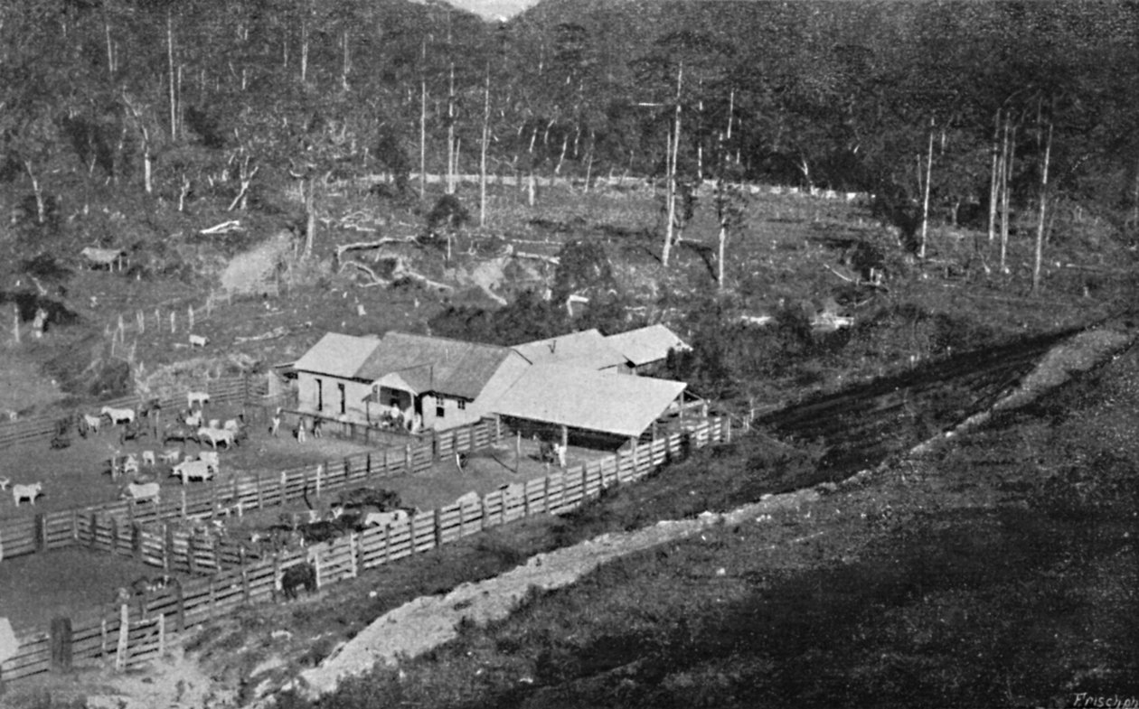 Criacao农场Campos do Jordao，Cricaao农场，1895年 作者 阿克塞尔·弗里克（Axel Frick）