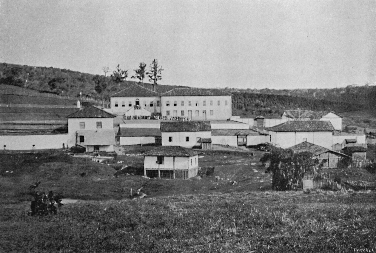 塞特奎达斯农场农场，塞特奎达斯农场，1895年 作者 阿克塞尔·弗里克（Axel Frick）