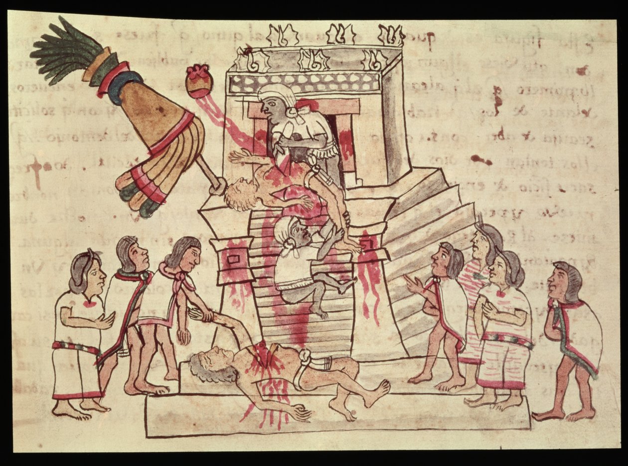 BR 232 fol.70r来自法典Magliabechiano的人类牺牲品 作者 阿兹台克人