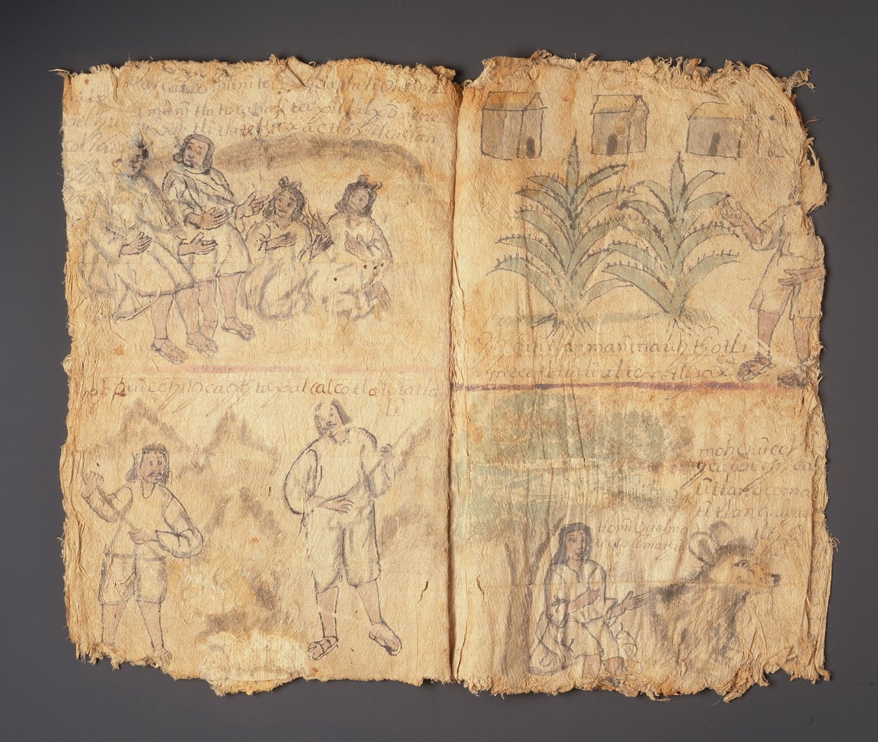 Techialoyan Codex，Coyotepec Coyonazco，墨西哥（纸上的颜料和墨水） 作者 阿兹台克人