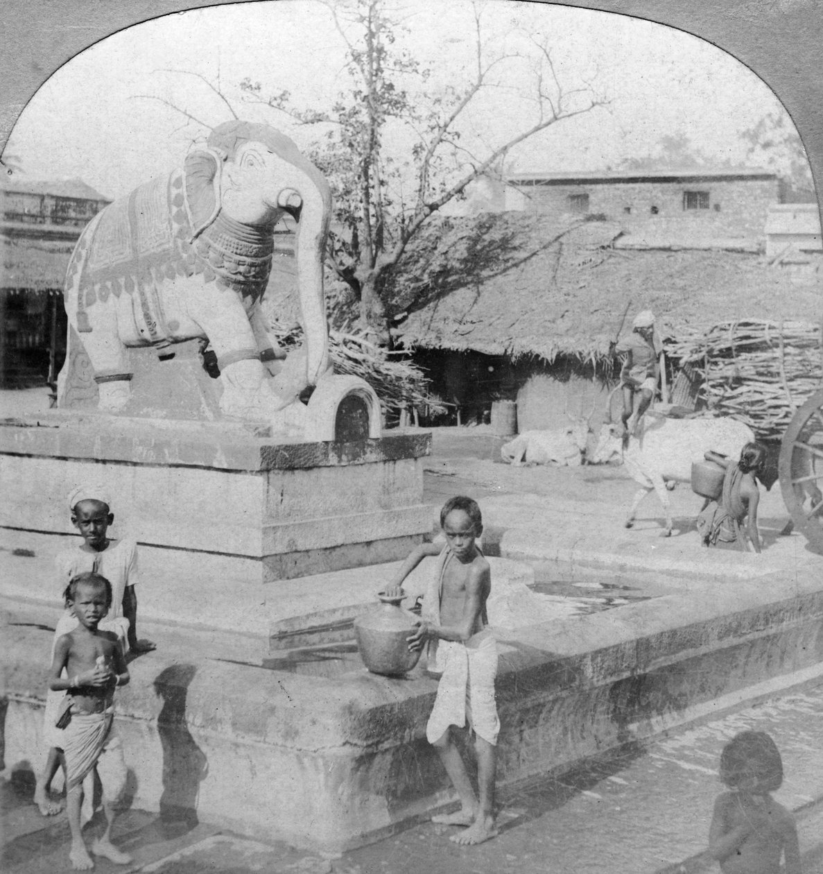 大象喷泉，印度马杜拉，1901年。 作者 BL Singley