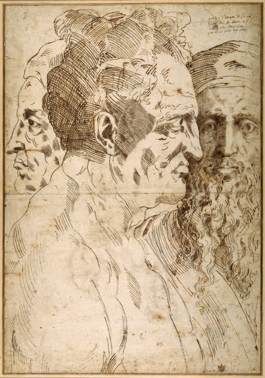 Three male heads juxtaposed (pen & brown ink and black chalk on paper) 作者 巴乔·班迪内利（Baccio Bandinelli）