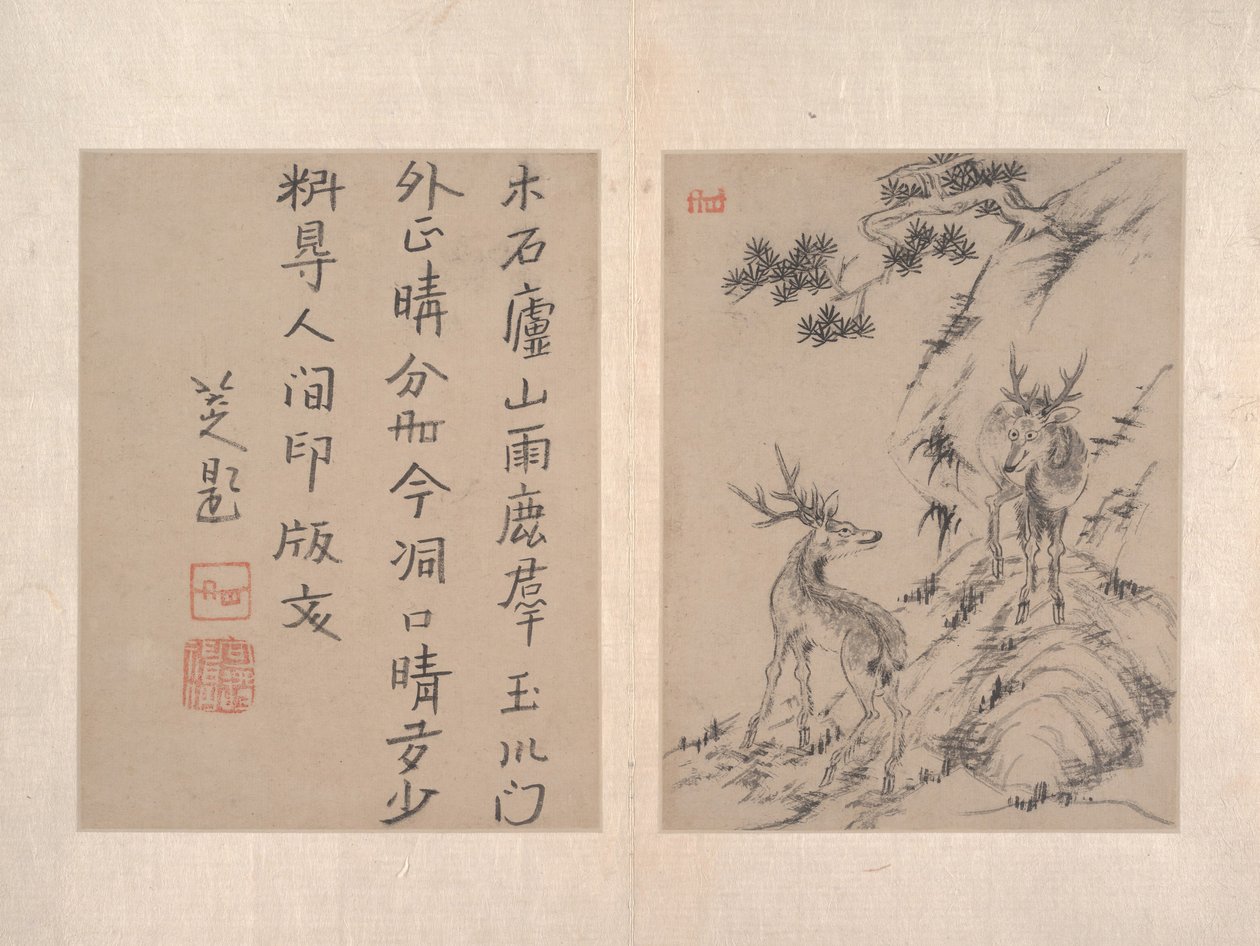 专辑。 作者 八大山人