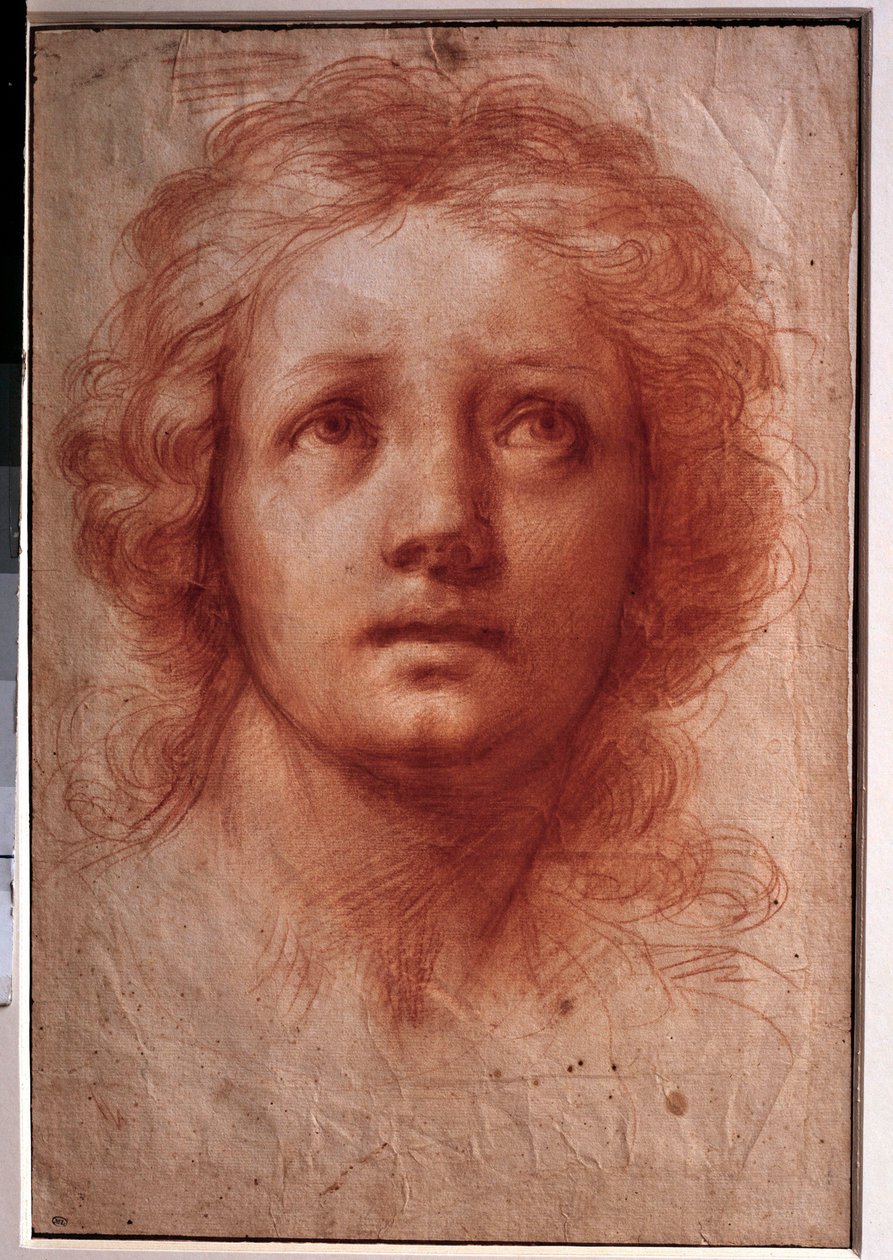 一个女人的头部研究，固定的目光转向上方 水墨画，Franceschini Baldassare dit il Volterrano (1611-1689)。17世纪。凹陷。0.42x0.28米。巴黎，卢浮宫博物馆 作者 巴尔达萨雷·弗朗切斯基尼