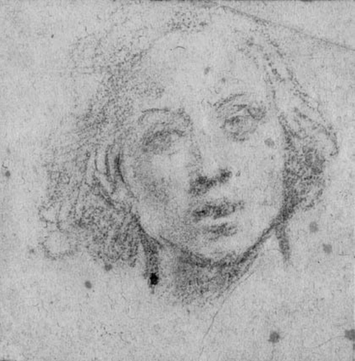 丹麦语：年轻人的头 作者 Baldassare Franceschini