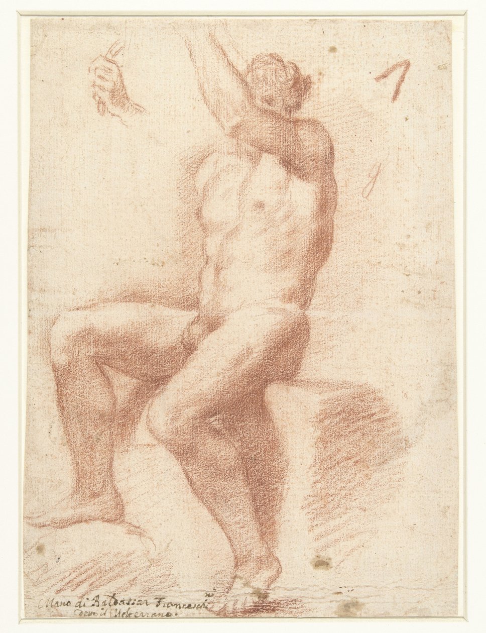 男性裸体模特研究 作者 Baldassare Franceschini