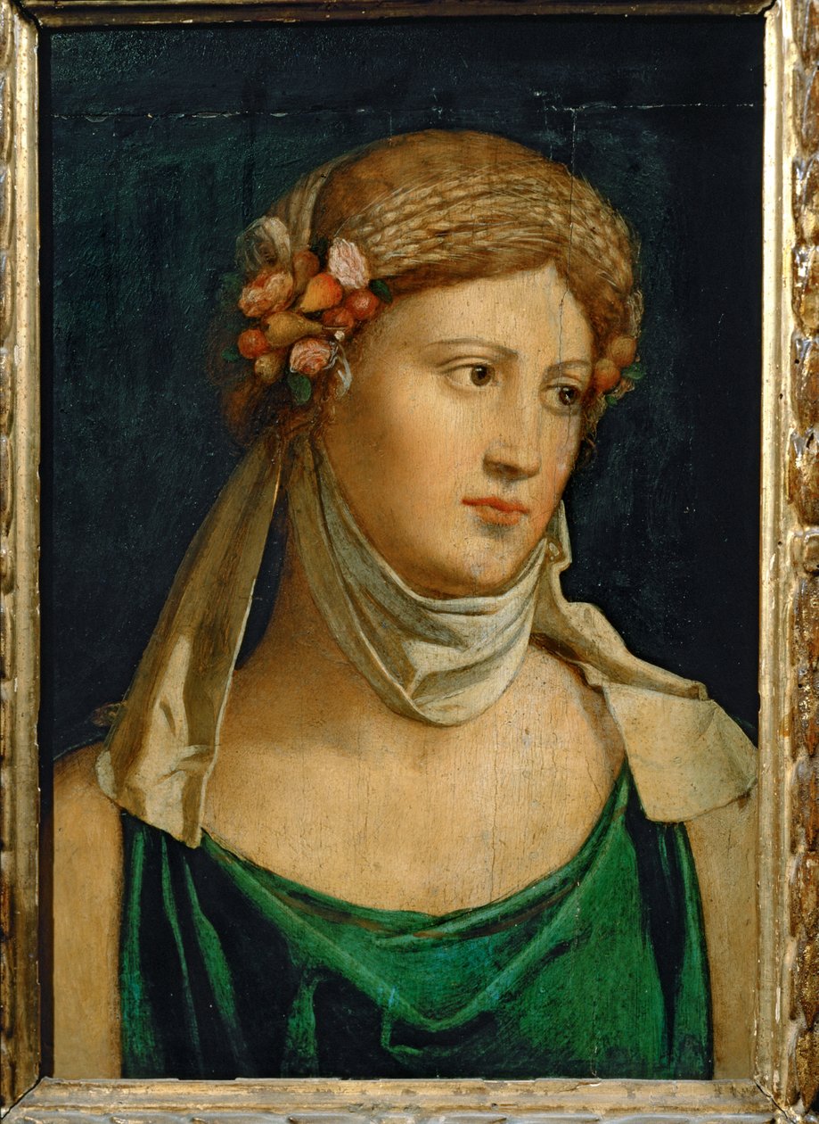  作者 巴尔达萨尔佩鲁齐