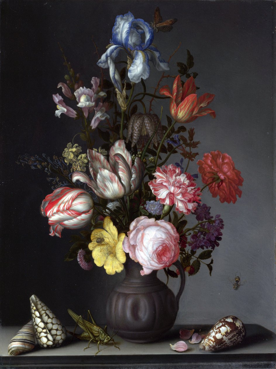 在有壳和昆虫的花瓶的花 作者 Balthasar van der Ast