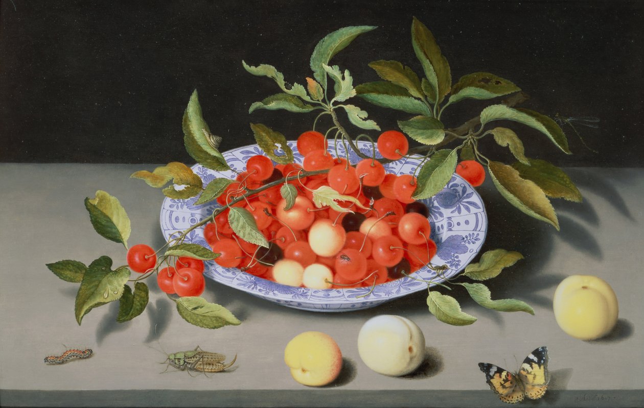 樱桃和桃子的静物 作者 Balthasar van der Ast