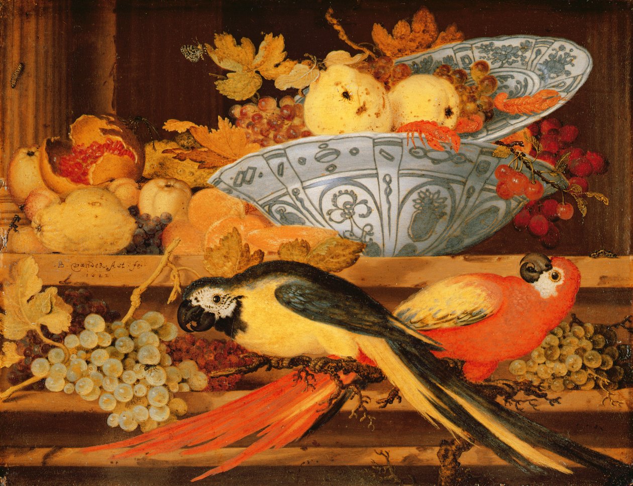 静物与水果和金刚鹦鹉，1622年（铜上油） 作者 Balthasar van der Ast