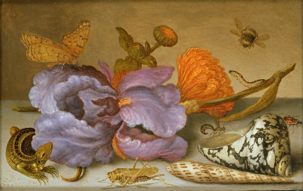描绘花朵，贝壳和昆虫的静物画（铜上的油）（对于看见251378） 作者 Balthasar van der Ast
