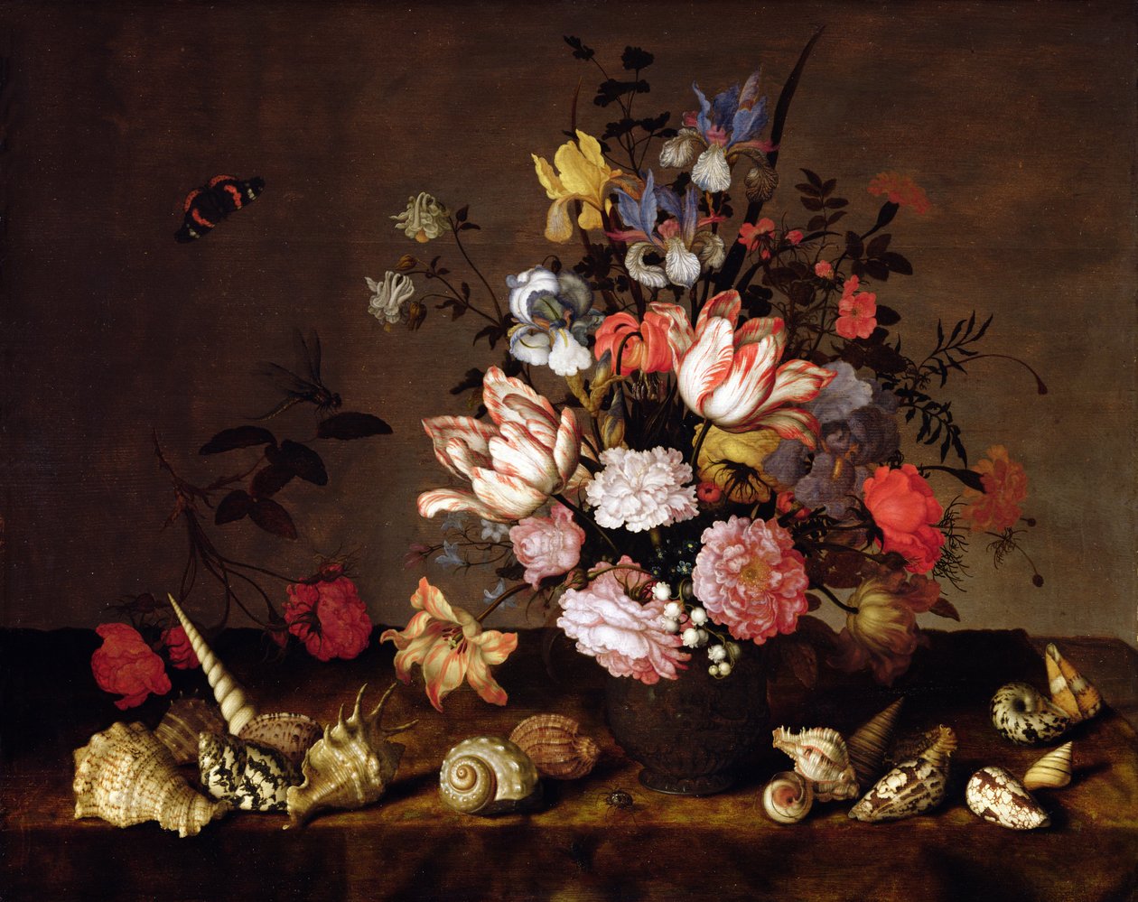 一个花瓶的静物画与壳的花 作者 Balthasar van der Ast