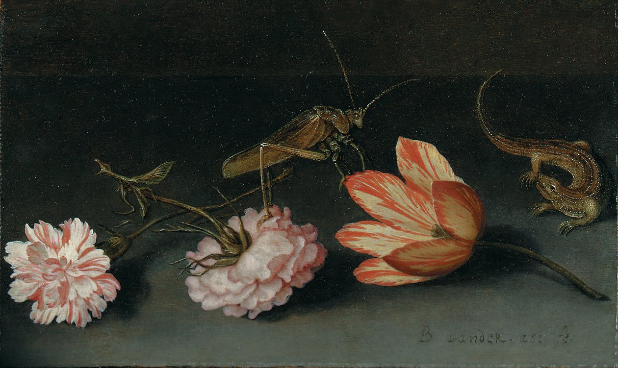 康乃馨，鹦鹉郁金香，蚱and和蜥蜴在窗台上 作者 Balthasar van der Ast