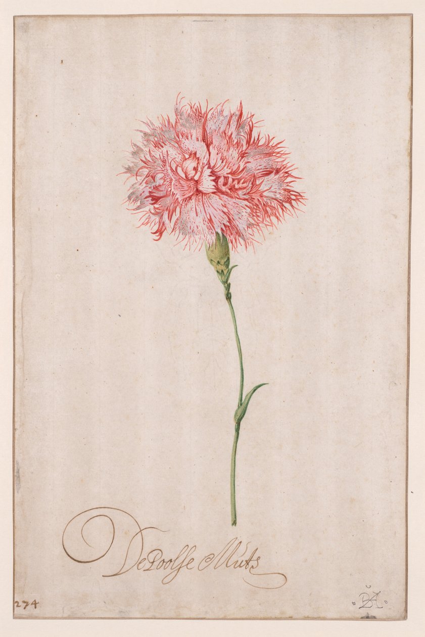 De Poolse Muts 作者 Balthasar van der Ast