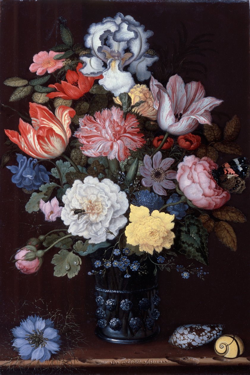 贝壳花卉静物 作者 Balthasar van der Ast
