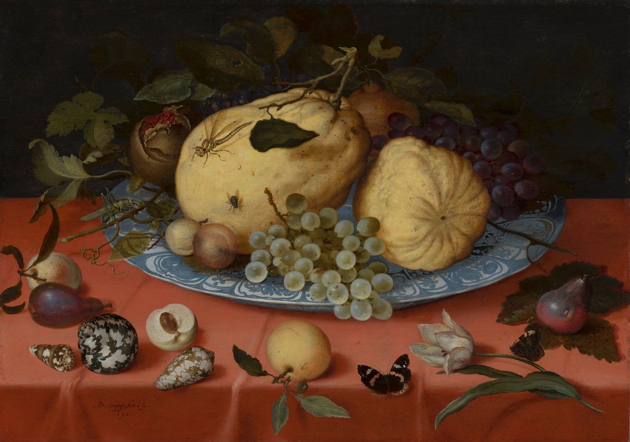 带贝壳和郁金香的水果静物画 作者 Balthasar van der Ast